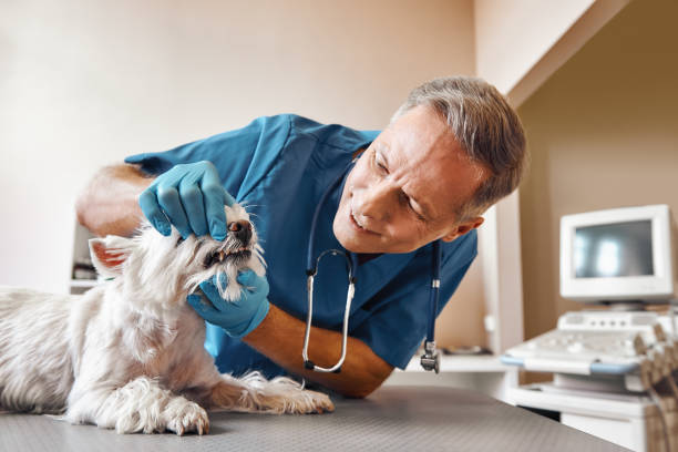 Best Emergency Treatment for Oral Infections in Beloit, KS